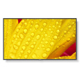 SHARP/NEC LFD 65" MultiSync M651-2, IPS, 3840x2160, 500nit, 8000:1, 8ms, 24/7, DP, HDMI, LAN, USB, Mediaplayer