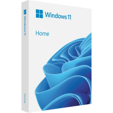 Windows Home 11 64-bit Slovak USB